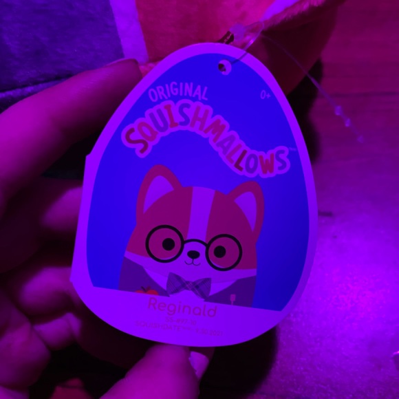 BNWT Teacher Reginald Squishmallow - Picture 2 of 3